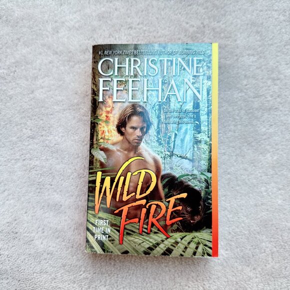 Wild Fire by Christine Feehan | Paperback Book - Picture 1 of 4